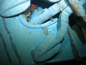 Flukes of ship's port anchor